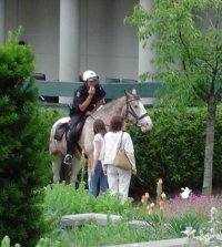 Mounties