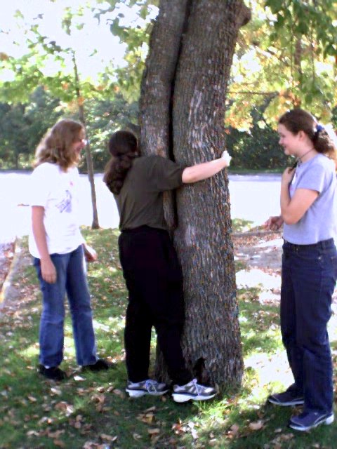 Tree Hugger