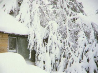 It looked like we were buried