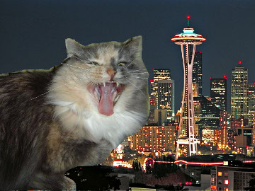 Small eyes Seattle